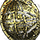 Shields